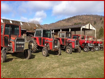 Classic tractor for sale