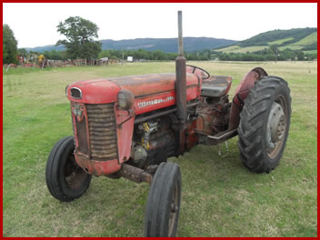 Classic tractor for sale